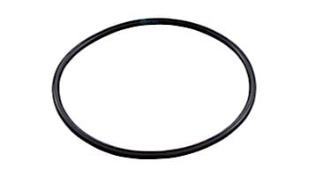 Pentair Interior Diameter Seal Plate O-Ring | 3/8" x 11" | 356780 356780Z