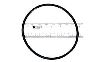 Pentair SuperFlo and SuperMax Strainer Cover | Clear | 350091 350091Z