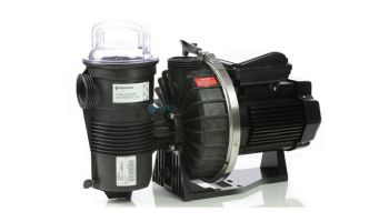 Pentair Challenger 2.5HP High Pressure Energy Efficient  Pool Pump Full Rated 208V 230V | 346209