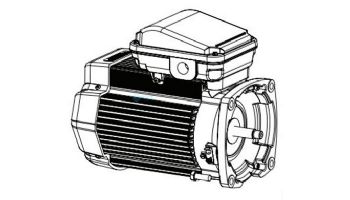 Pentair Challenger 2.5HP High Pressure Energy Efficient  Pool Pump Full Rated 208V 230V | 346209