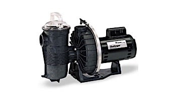 Pentair Challenger Pump 5HP 3 Phase 230V 460V  Full Rate  High Flow Pool Pump | 345300
