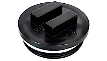 Pentair All-Purpose Plug with O-Ring 2" | 195830