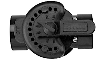 Pentair 2-Port CPVC Diverter Valve | 2"x 2.5" | 263027