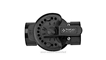 Pentair 2-Port CPVC Diverter Valve | 1.5"x 2" | 263036
