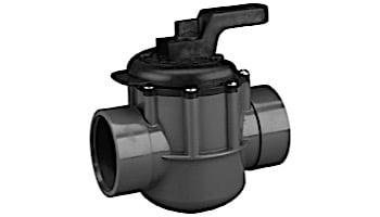 Pentair 2-Port CPVC Diverter Valve | 1.5"x 2" | 263036
