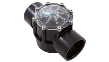 Pentair Straight CPVC Check Valve | 2" x 2.5" | 263042