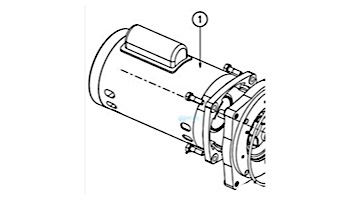 Pentair Motor Square Flange | 2-Speed 1.5HP 230V | Black | 355377S
