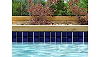 National Pool Tile Marine Field 3x3 Series Pool Tile | Royal Blue | M320