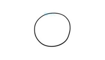 Gecko #158 Volute O-Ring TMCP/FMHP | 92200090
