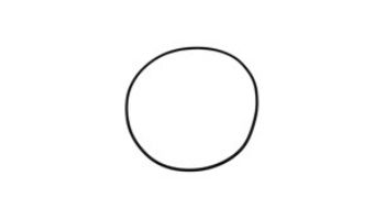 Gecko #158 Volute O-Ring TMCP/FMHP | 92200090