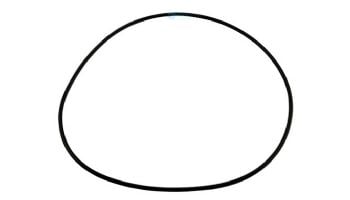 Polaris Seal Plate O-Ring Halcyon | P85