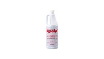 Silver Algaedyn Algae Remover | 1 Quart | 47-600