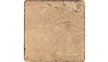 National Pool Tile Catania 6x6 Series Pool Tile | Rust | CATRUST