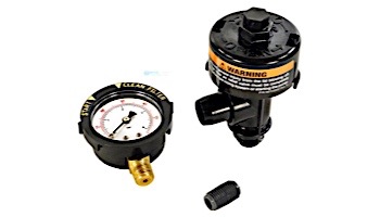 Pentair Complete Gauge Assembly | 073027