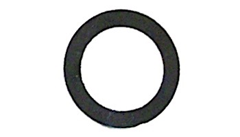 PENTAIR 074629 (2 REQ) DRAIN FLAT GASKET WASHER