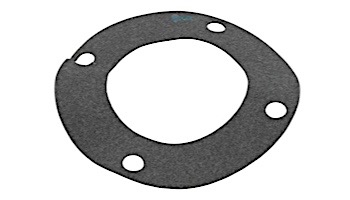 Pentair Gasket Flange P-135 | 5" | 070943 P11050