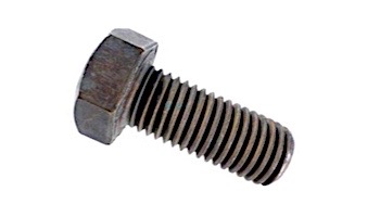 Pentair Hex Head Screw | 3/4-10 x 1-3/4" | Brass P-12 | 071683 P27400