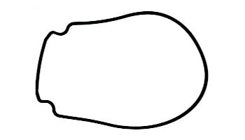 Pentair Seal Plate Gasket | Black | 357100 357100Z
