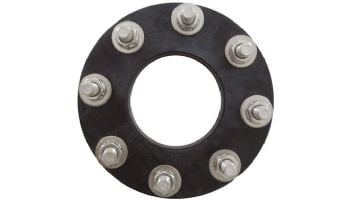 Pentair 4" Flange Assembly Kit with Gasket and Stainless Steel Hardware | 357262