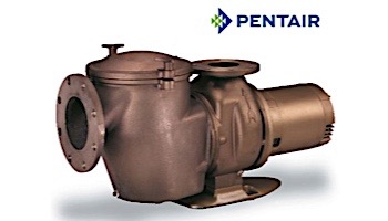 Pentair C-Series 10HP Standard Efficiency Single Phase Commercial Bronze Pump with Strainer | 230V | CH-100 | 347963