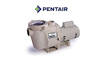 Pentair WhisperFlo Standard Efficiency Pool Pump | 230V 3HP Full Rated | WF-12 | 011583