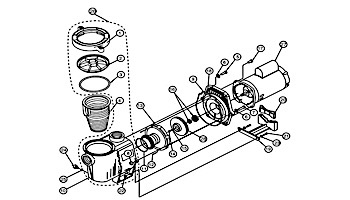 Pentair WhisperFlo Standard Efficiency Pool Pump | 230V 3HP Full Rated | WF-12 | 011583
