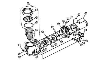 Pentair WhisperFlo Standard Efficiency Pool Pump | 115/230V 1.5HP Up Rated | WF-26 | 011773