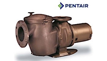 Pentair C-Series 7.5HP Standard Efficiency 3-Phase Commercial Bronze Pump with Strainer | 220-440V | CHK-75 | 011658