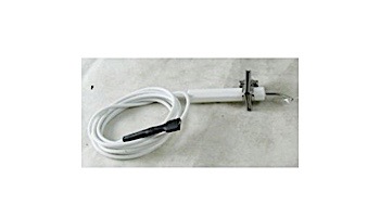 PENTAIR 471328 ELECTRODE W/LEAD Q3451 MNX