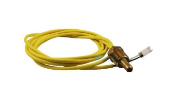 Pentair Thermistor Probe | 471566 471566Z