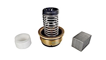 Pentair By-Pass Valve Kit | 460923