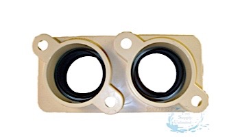 Pentair Minimax Plus Quick Flange Adapter Kit for 2" Slip Connections | 075284