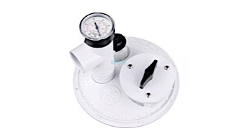 Hayward Automatic Skimmer Vacuum Plate | W490R