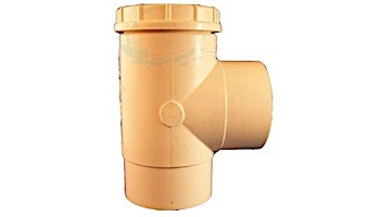 Pentair Ortega Spring Check Valve 90 Degree CPVC 2" | 010652