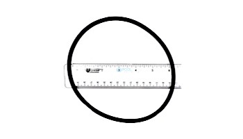 Hayward Leaf Canister O-Ring | W530,W560 | AXW542