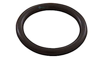 Pentair Check Valve O-Ring | R172451