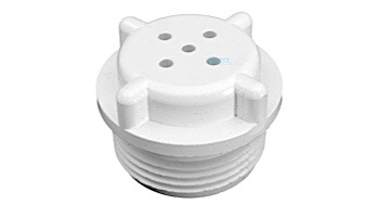 Pentair Check Valve Assembly | R172406
