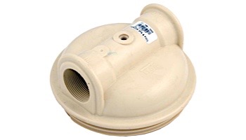 Pentair Manifold Only 1.5" | R172213