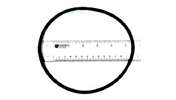 Pentair Lock Ring Assembly | R172214