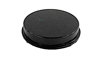 Pentair By-Pass Disable Plug 1.5" | R172225X
