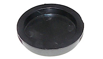 Pentair By-Pass Disable Plug 1.5" | R172225X