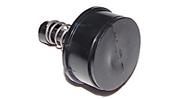 Pentair By-Pass Assembly 1.5" | Black | R172226X