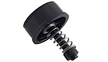 Pentair By-Pass Assembly 1.5" | Black | R172226X