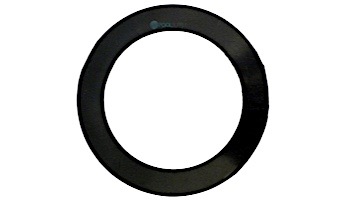 Pentair Support Ring | Black | R172232X