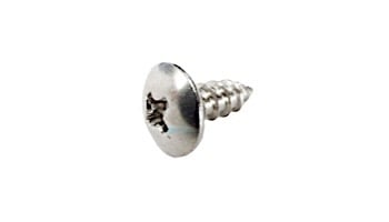 Pentair Phillips Truss Head Lock Screw | R172375