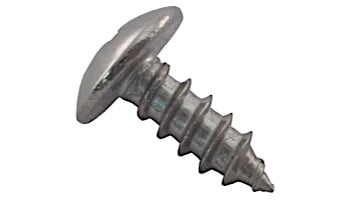 Pentair Phillips Truss Head Lock Screw | R172375