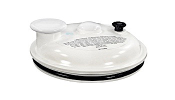 Pentair Complete Lid Assembly | R172385