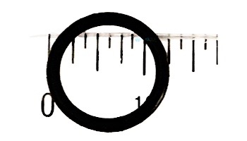 Pentair O-Ring | R172393