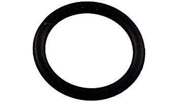 Pentair O-Ring | R172393