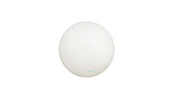 Pentair Rainbow 1" Poly Check Ball for HC Series Chlorinator | R172435